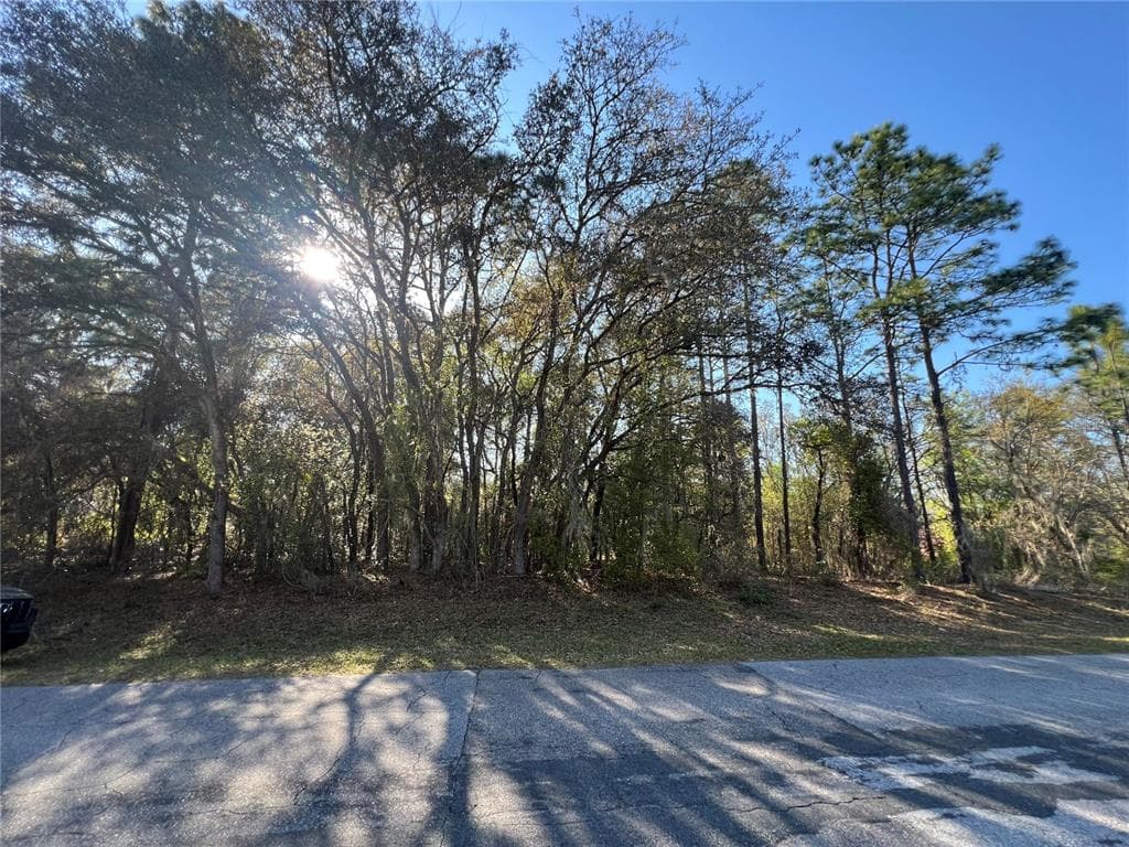 3968 N INDIANHEAD ROAD HERNANDO, FL 34442