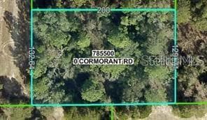 13408 CORMORANT ROAD BROOKSVILLE, FL 34614