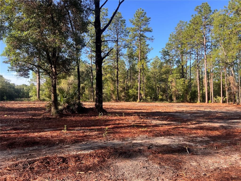 24 SE 130 COURT DUNNELLON, FL 34431