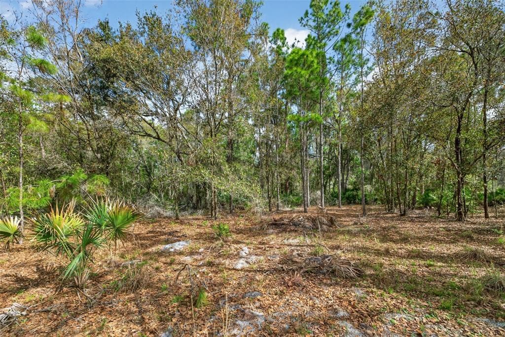 11803 DOG HOLLOW LANE LITHIA, FL 33547