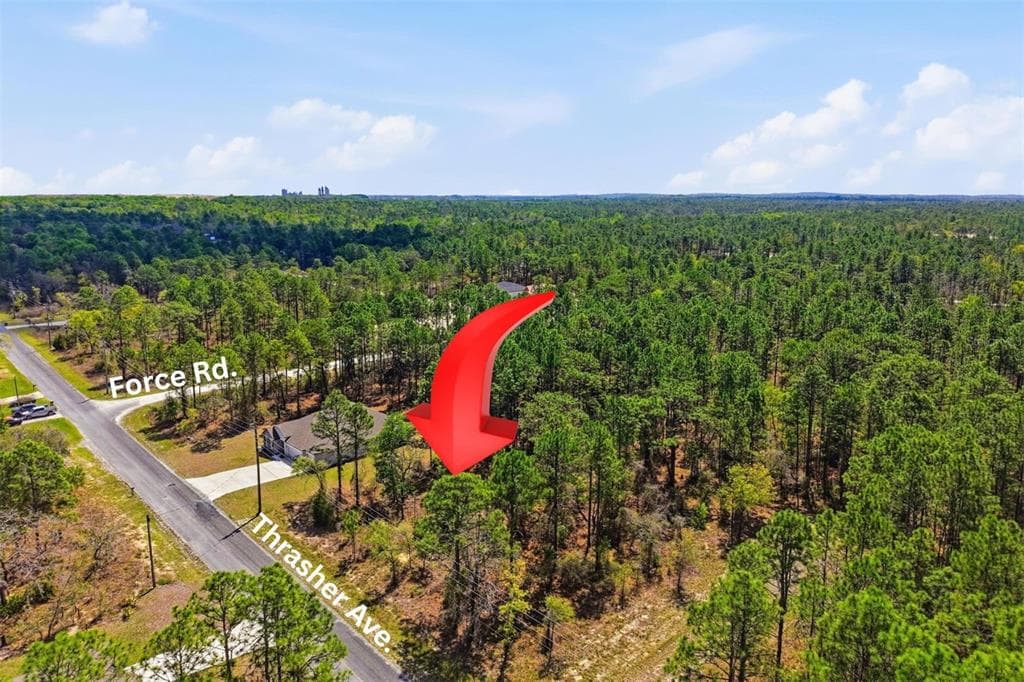 Lot 25 THRASHER AVENUE WEEKI WACHEE, FL 34614
