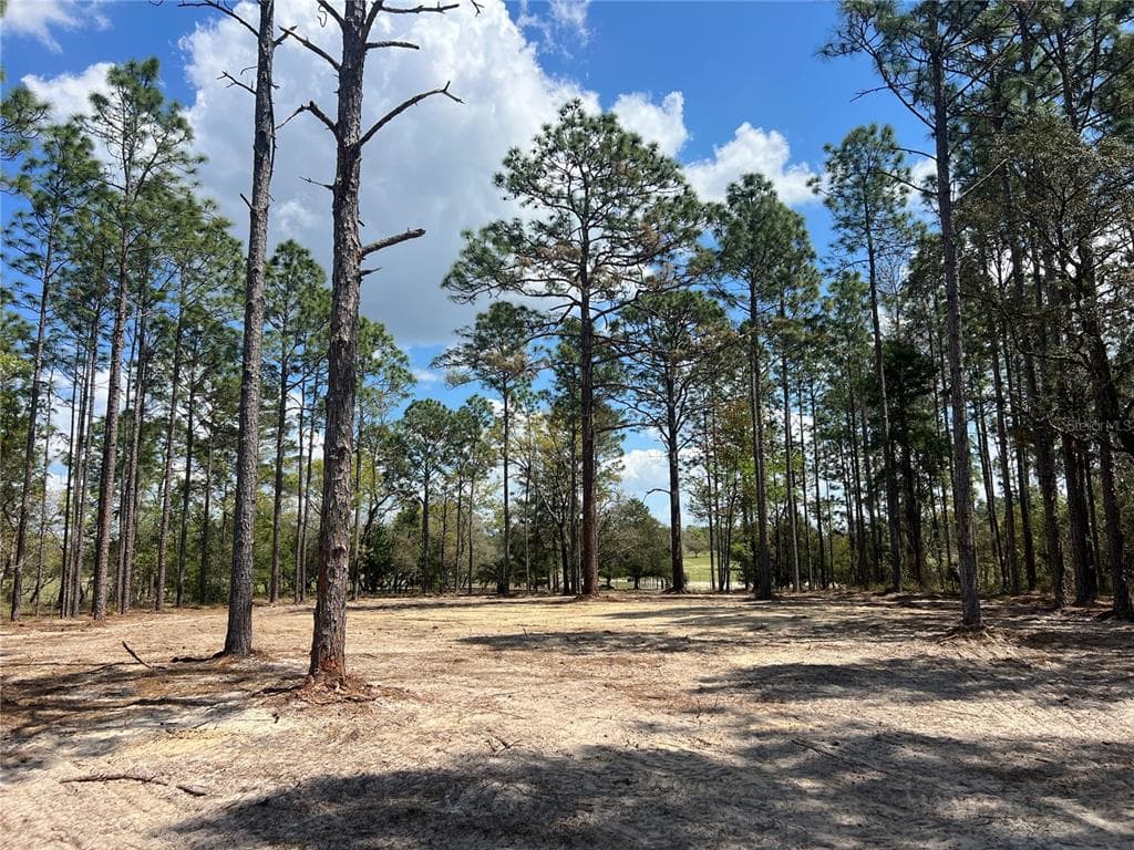 16 SE 136 TERRACE DUNNELLON, FL 34431