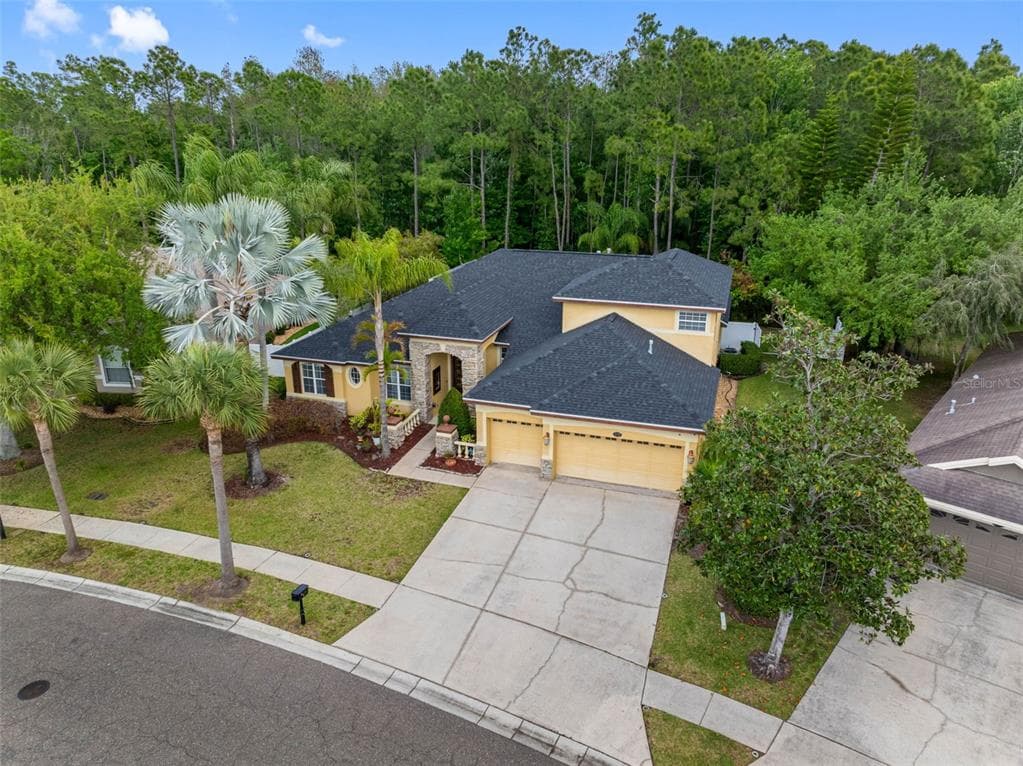 16750 IVY LAKE DRIVE ODESSA, FL 33556