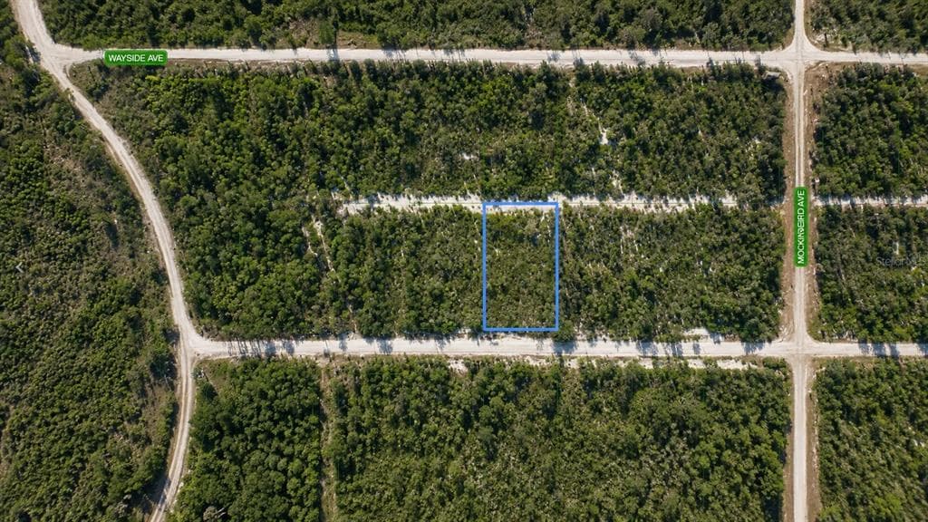 612 SCAUP AVENUE SEBRING, FL 33872