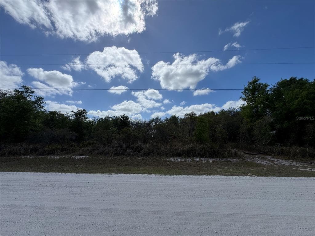 1873 W FOXGLOVE ROAD AVON PARK, FL 33825