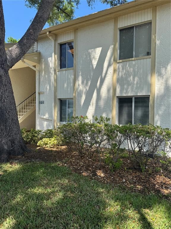 203 PALMETTO COURT OLDSMAR, FL 34677