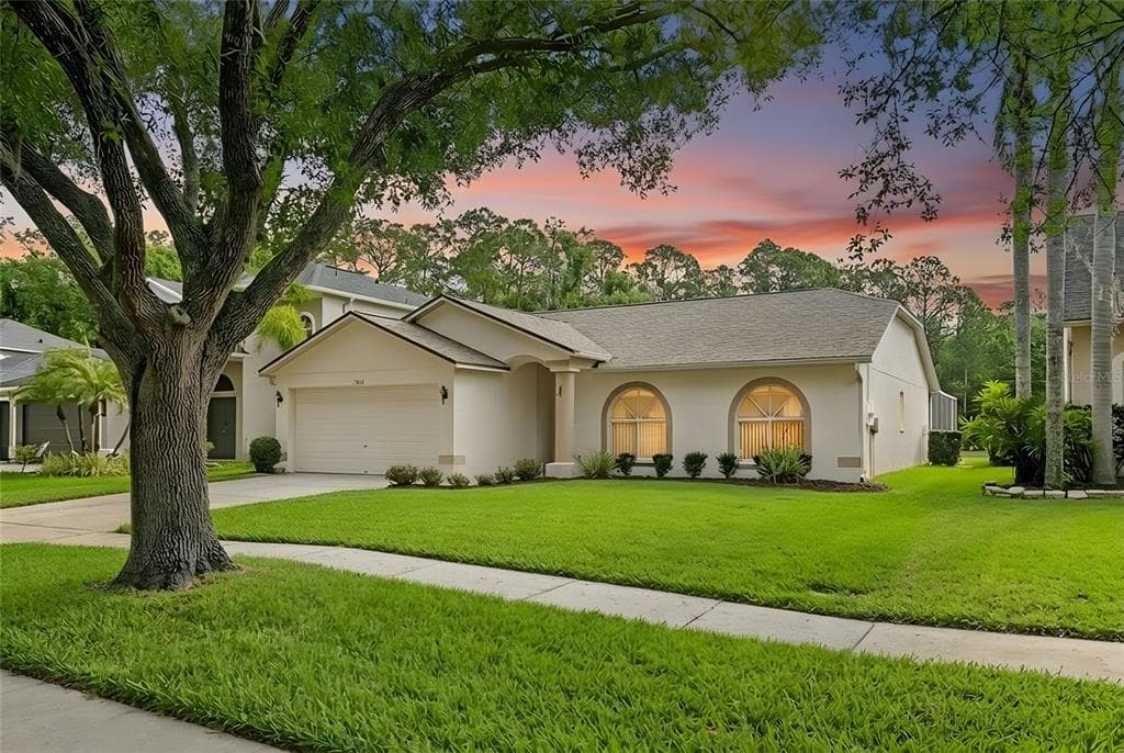 13010 ROYAL GEORGE AVENUE ODESSA, FL 33556