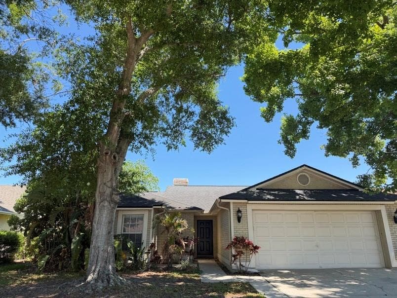 8753 HAMPDEN DRIVE TAMPA, FL 33626