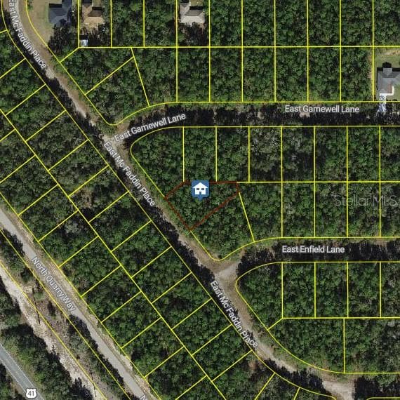 198 E MCFADDIN PLACE DUNNELLON, FL 34434