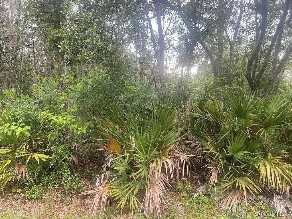 8488 N IRONWOOD TERRACE CRYSTAL RIVER, FL 34428