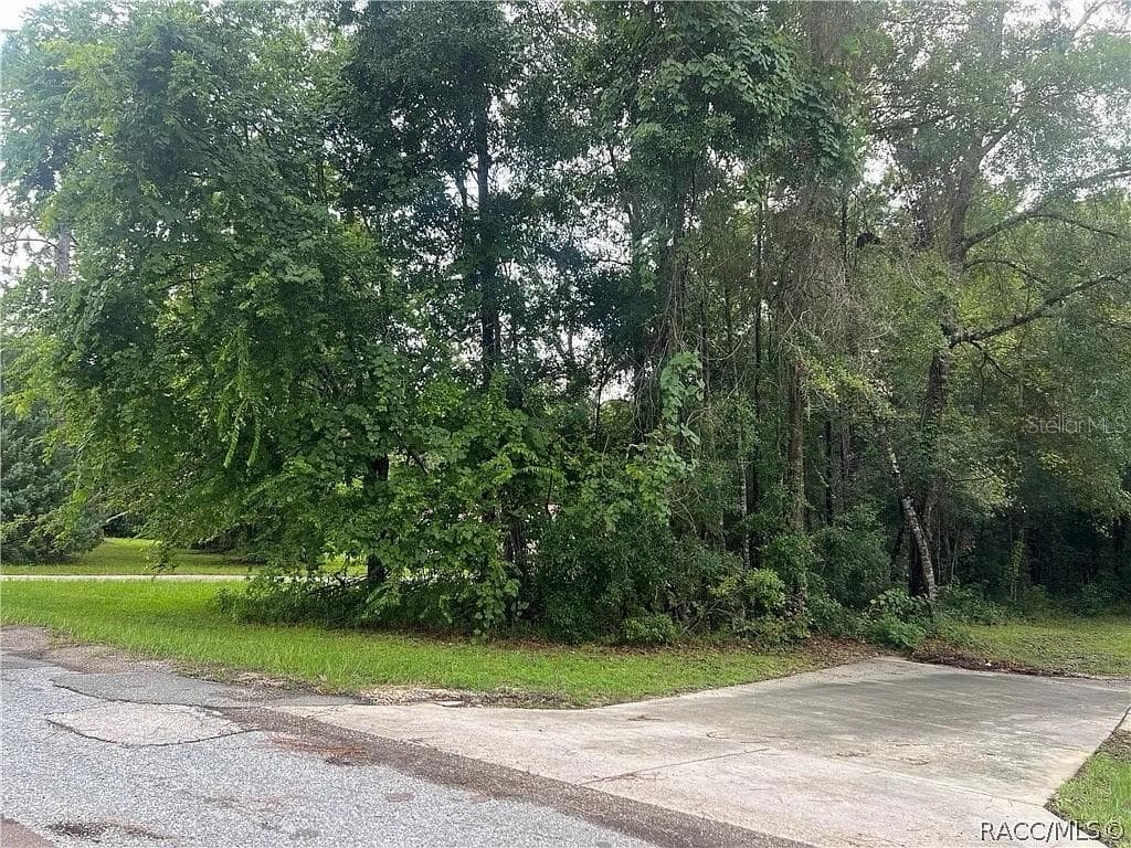 178 S SCHOOL AVENUE LECANTO, FL 34461