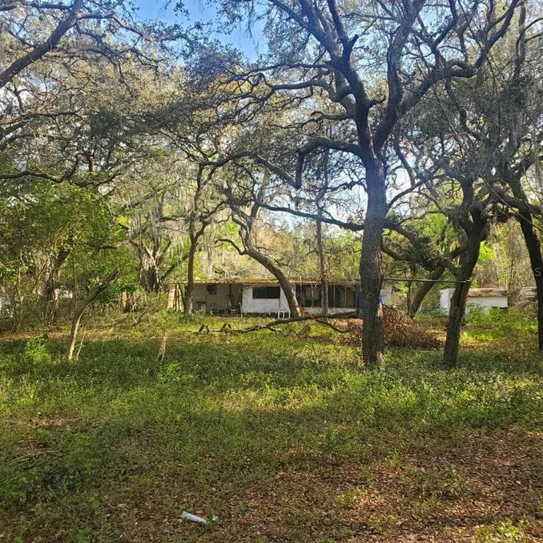 17461 SE 10TH STREET SILVER SPRINGS, FL 34488