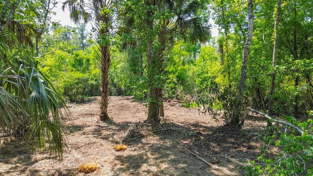 0 MUDDY WATER TRAIL THONOTOSASSA, FL 33592