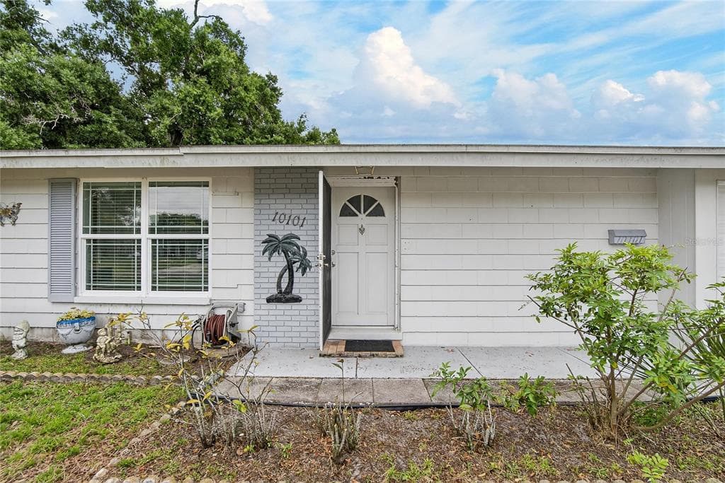 10101 MARIPOSA PLACE TAMPA, FL 33619