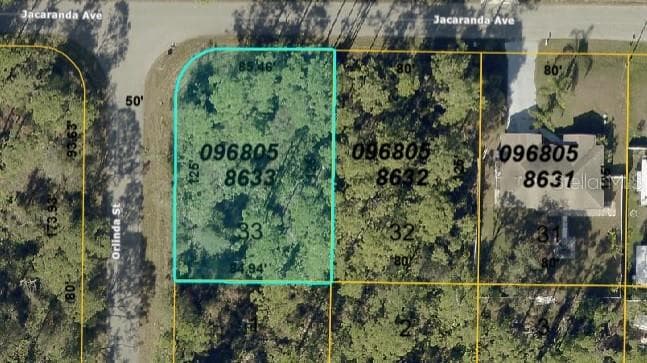 JACARANDA AVENUE NORTH PORT, FL 34291