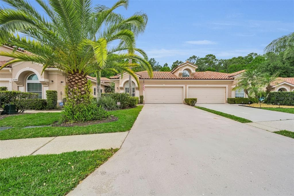 3802 DARSTON STREET PALM HARBOR, FL 34685