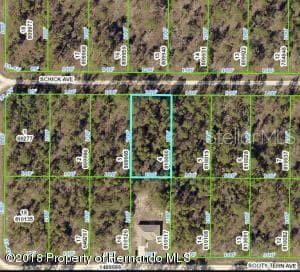 13352 SCHICK AVENUE BROOKSVILLE, FL 34614
