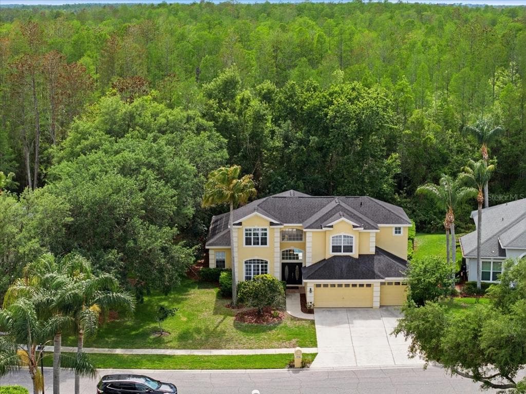 19106 SAINT LAURENT DRIVE LUTZ, FL 33558