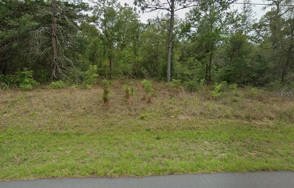3054 W HAMLET PLACE CITRUS SPRINGS, FL 34433