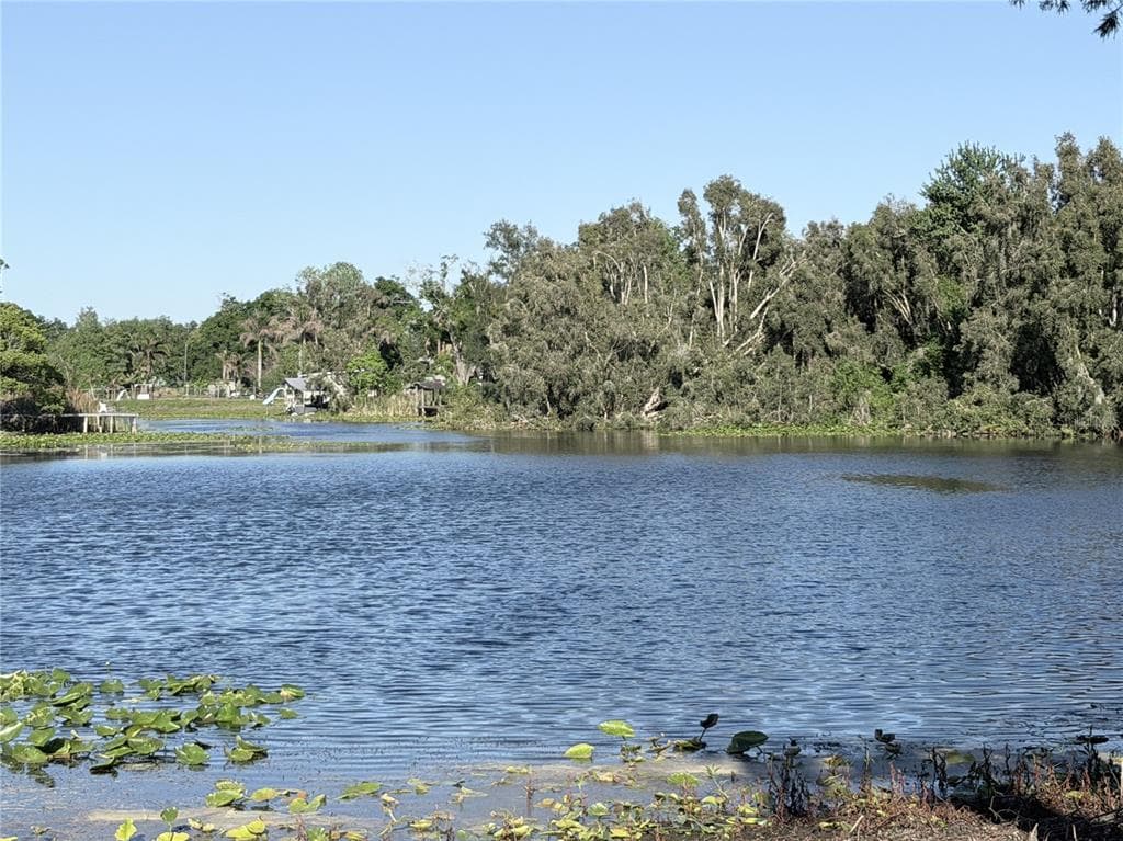 11505 N ROME AVENUE TAMPA, FL 33612