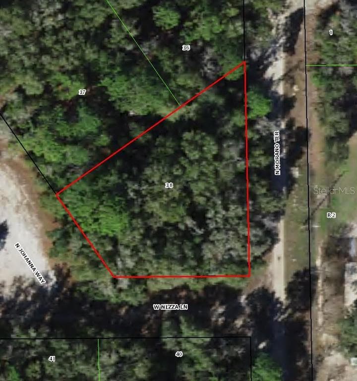 8123 W NIZZA LANE CRYSTAL RIVER, FL 34428