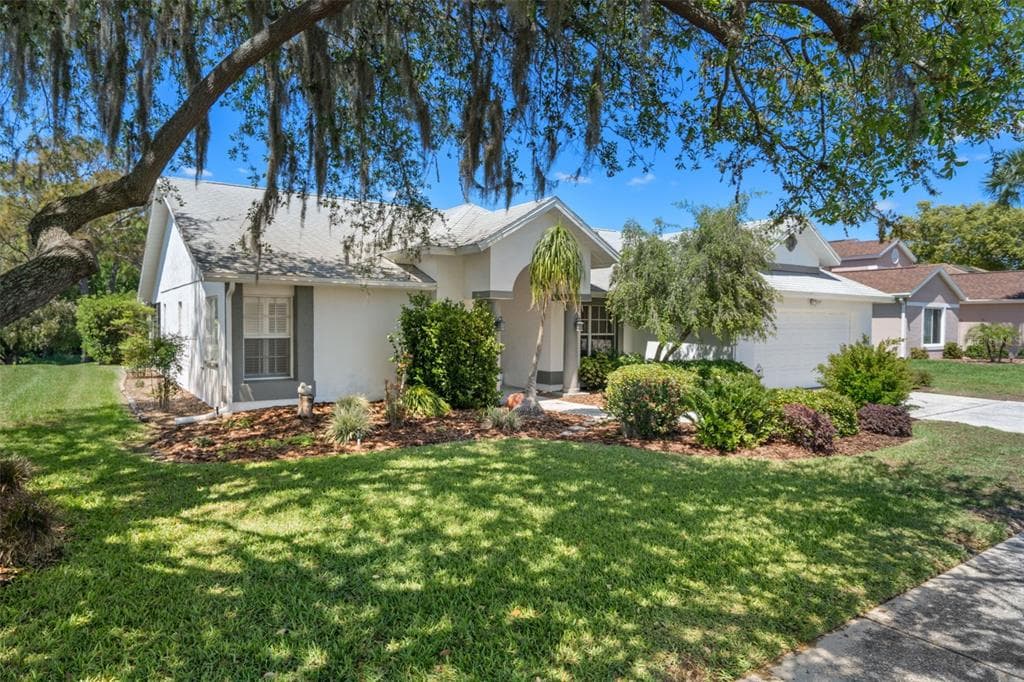 5557 EL CERRO DRIVE NEW PORT RICHEY, FL 34655