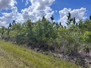 115 JAPONICA AVENUE INDIAN LAKE ESTATES, FL 33855