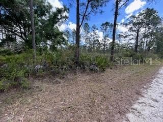 622 LAGUNA DRIVE INDIAN LAKE ESTATES, FL 33855