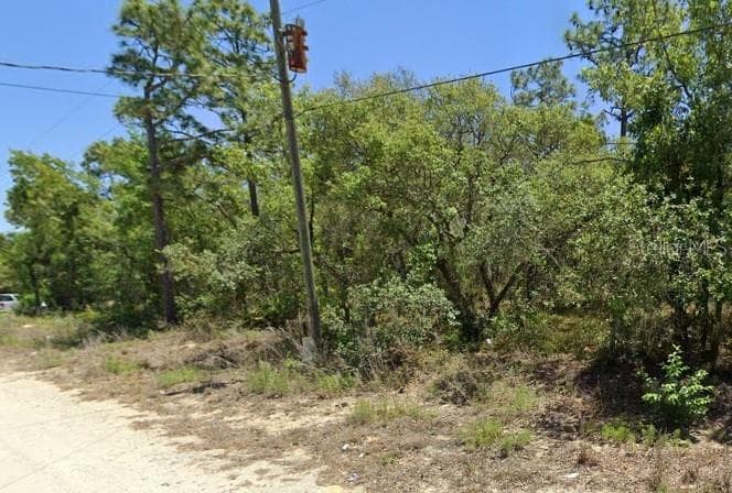 5276 W WINTER SUN LANE HOMOSASSA, FL 34446