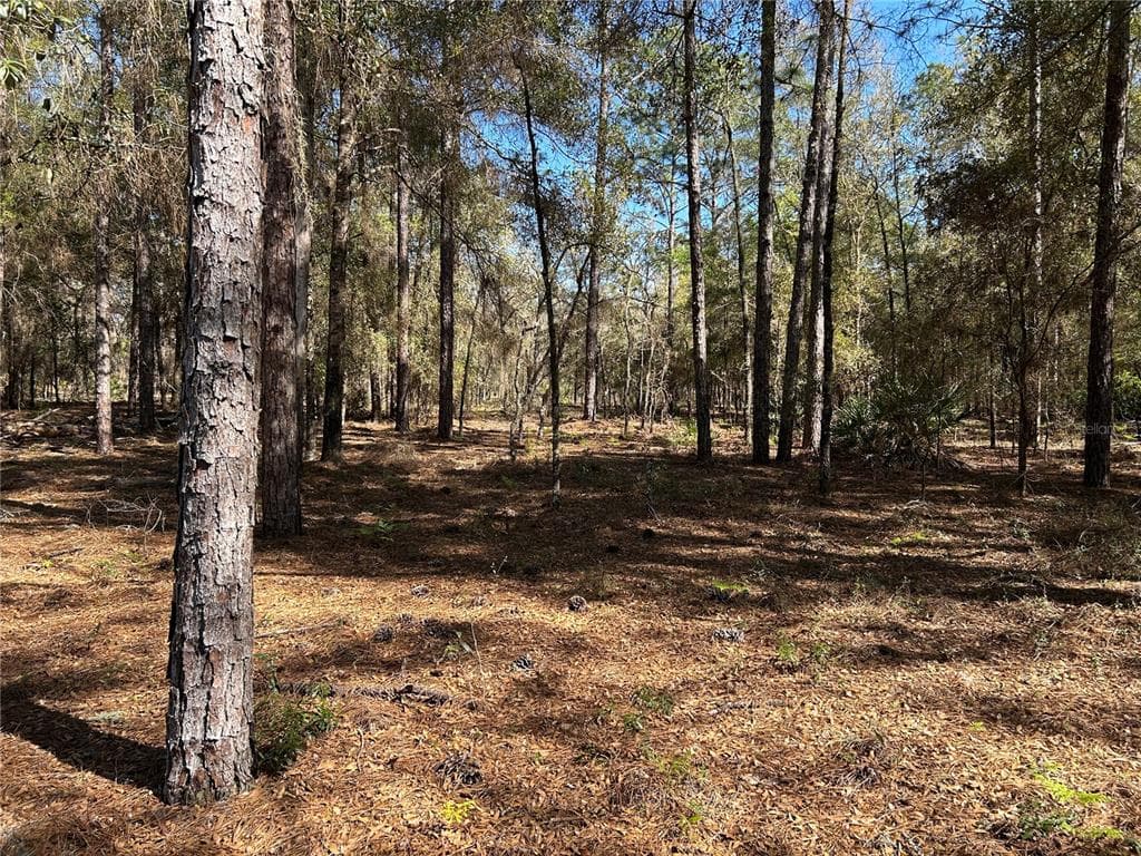 Lot 23 SW 181ST CIR DUNNELLON, FL 34432