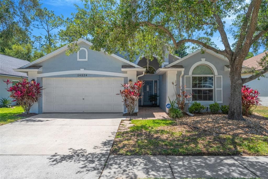 14524 WEEPING ELM DRIVE TAMPA, FL 33626