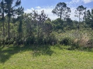 12 DESOTO (RED GRANGE BLVD) AVENUE INDIAN LAKE ESTATES, FL 33855