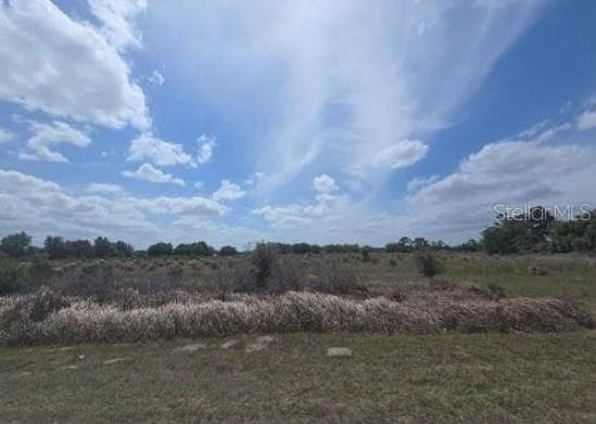 0 0 ARTIFACT DRIVE ZEPHYRHILLS, FL 33541