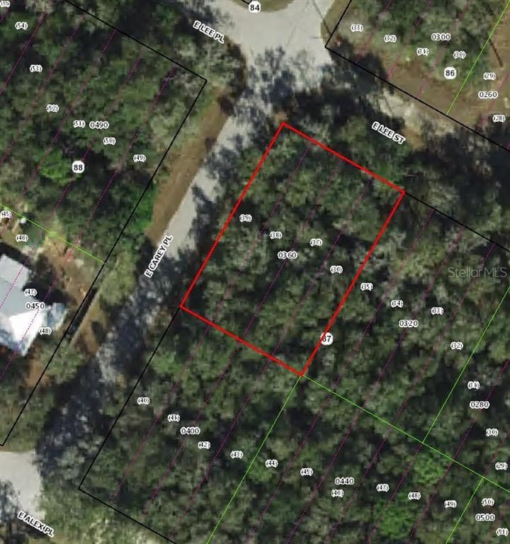 3576 E LEE DRIVE INVERNESS, FL 34453