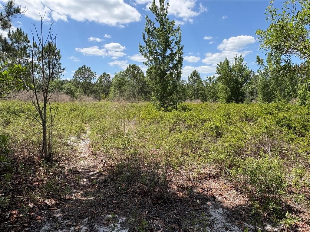 SAN JUAN AVE LOT 29 POLK CITY, FL 33868