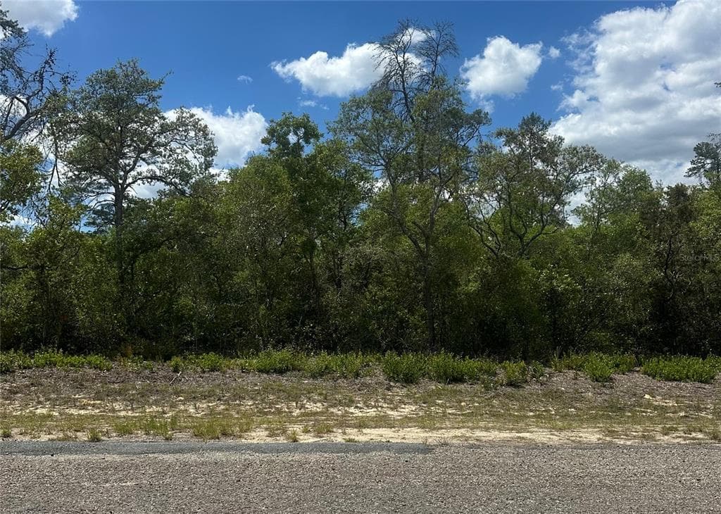 8036 N WAYSIDE AVENUE DUNNELLON, FL 34433