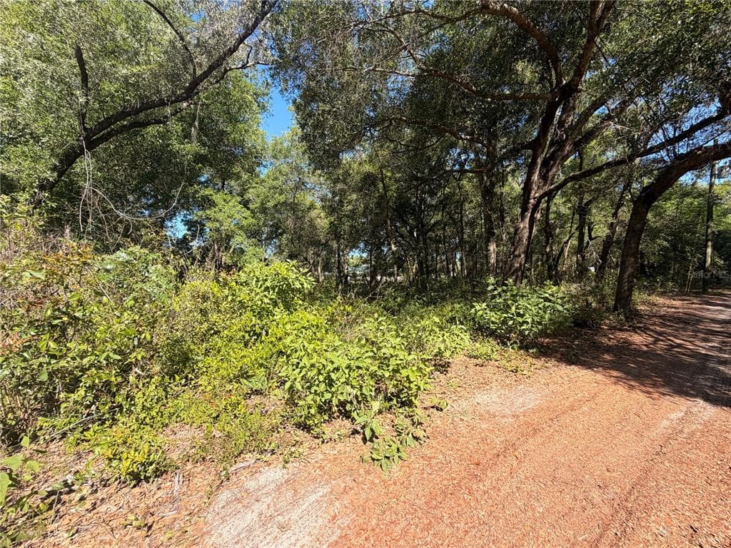 10185 CREEKFIELD ROAD BROOKSVILLE, FL 34613