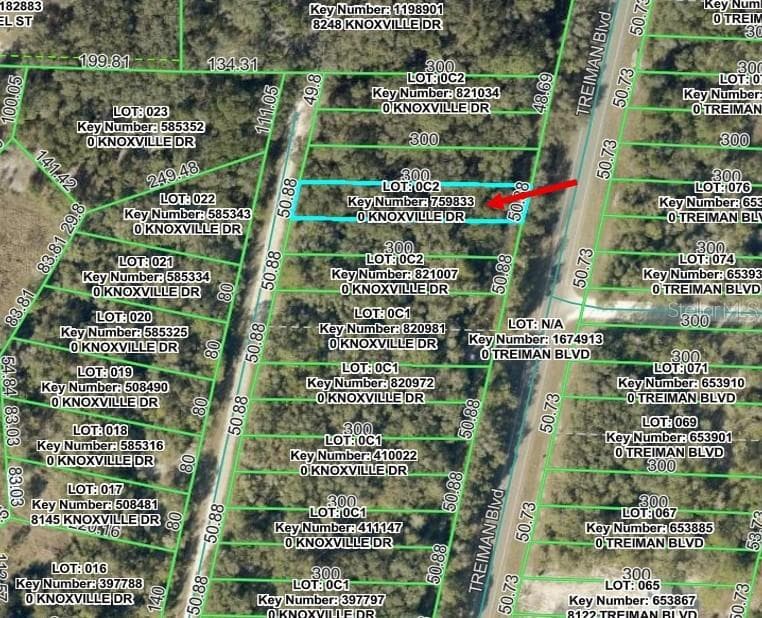 KNOXVILLE DRIVE WEBSTER, FL 33597