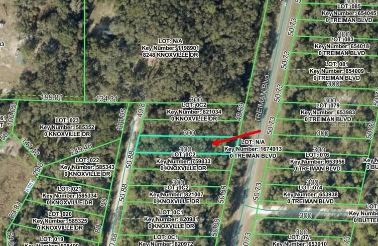 KNOXVILLE DRIVE WEBSTER, FL 33597