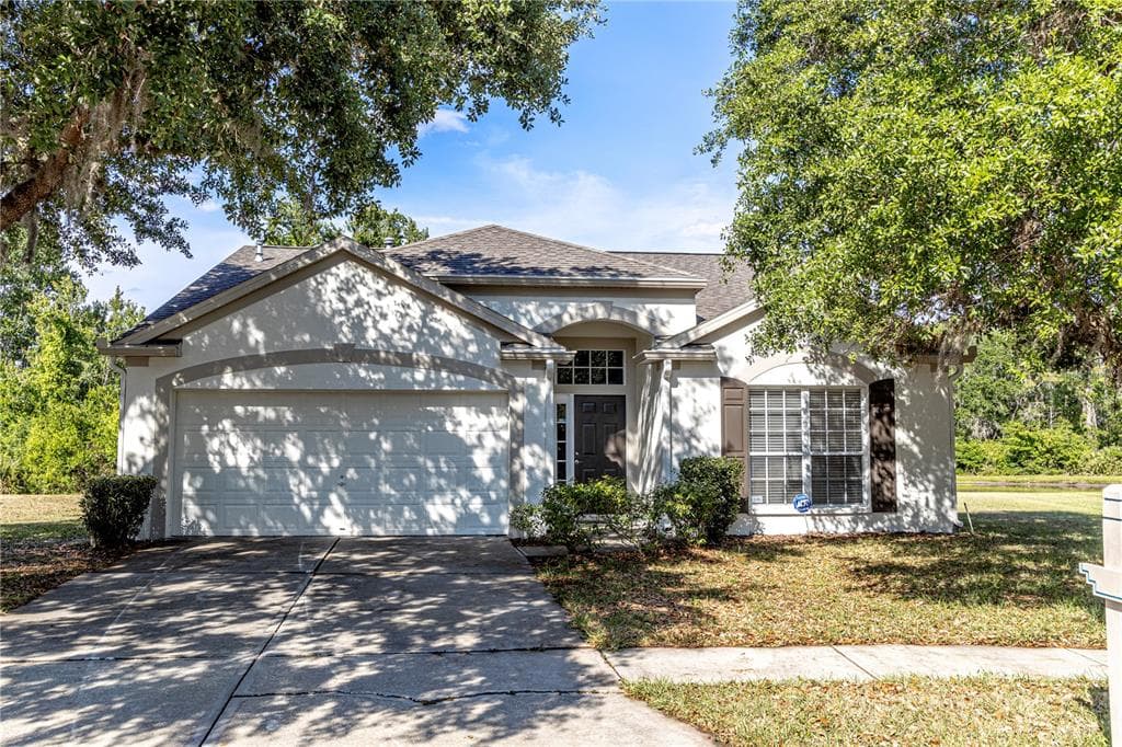 29841 MORNINGMIST DRIVE WESLEY CHAPEL, FL 33543