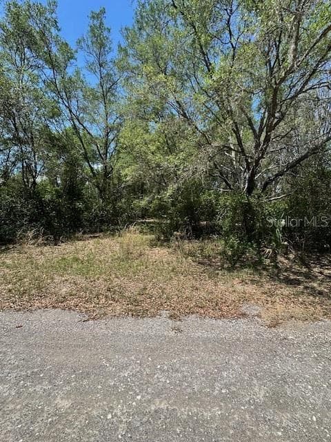8681 N CATAPANE LOOP CRYSTAL RIVER, FL 34428