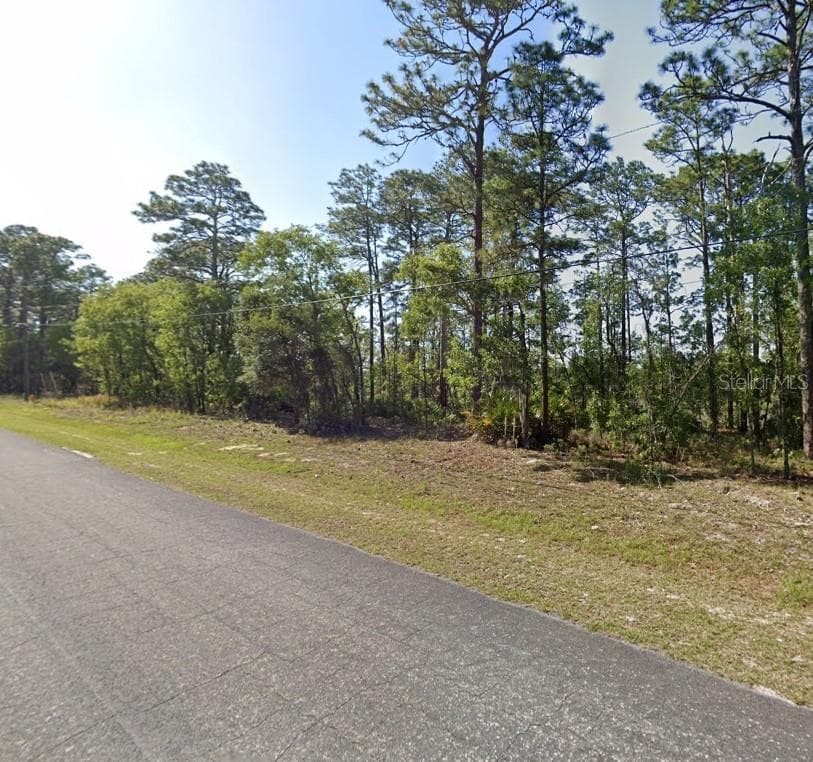 425 W HOMEWAY LOOP CITRUS SPRINGS, FL 34434