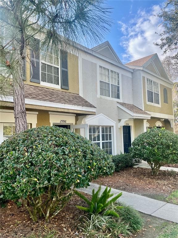 29916 ALTA VITA LANE WESLEY CHAPEL, FL 33543