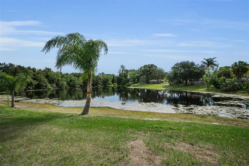 409 GRAHAM DRIVE CLEARWATER, FL 33765