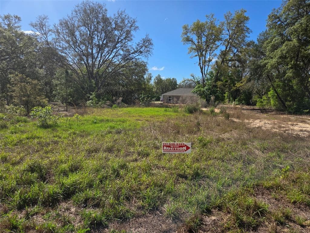 26 FISHER WAY TRL OCKLAWAHA, FL 32179