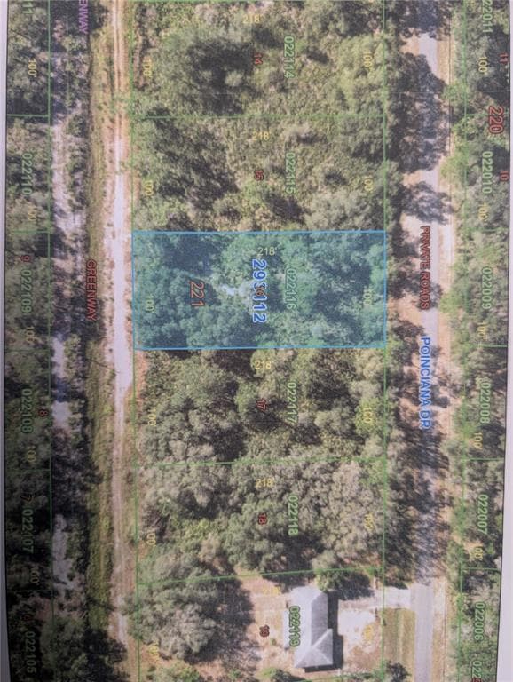917 POINCIANA DRIVE