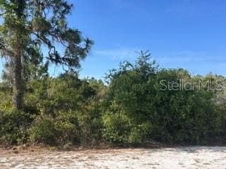 713 (BLK 123 LOTS 15&16) CAMELLIA DRIVE INDIAN LAKE ESTATES, FL 33855