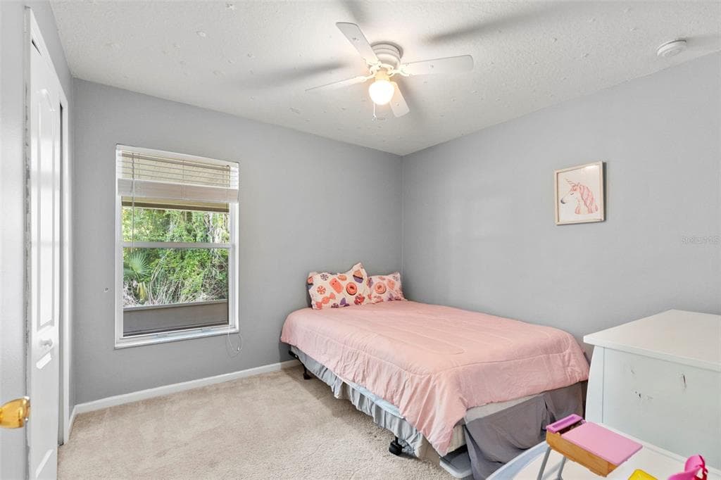 30709 LANESBOROUGH CIRCLE WESLEY CHAPEL, FL 33543