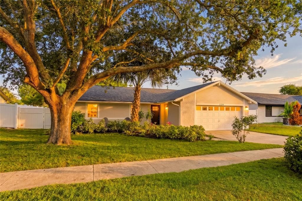 239 MYRTLE COURT PALM HARBOR, FL 34683