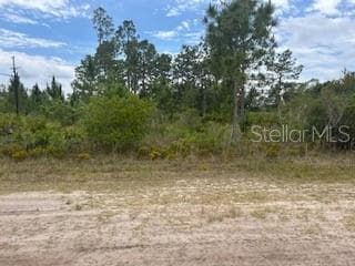 417 (BLK 172 LOT 16) MAGNOLIA DRIVE INDIAN LAKE ESTATES, FL 33855